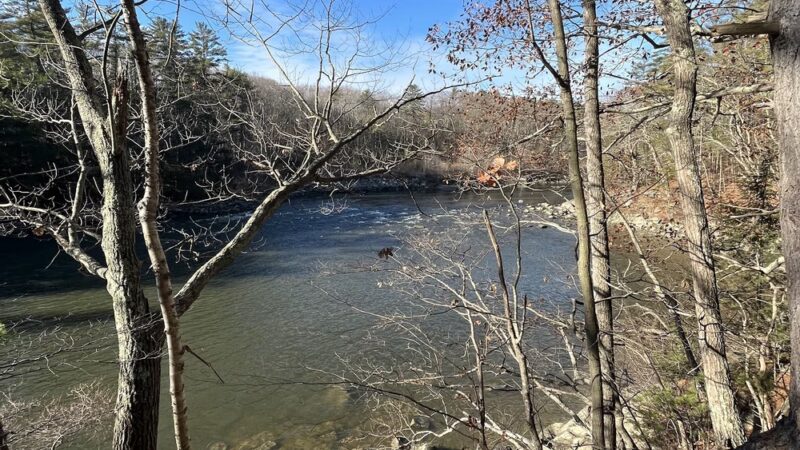 Presumpscot Falls Park - Falmouth, ME