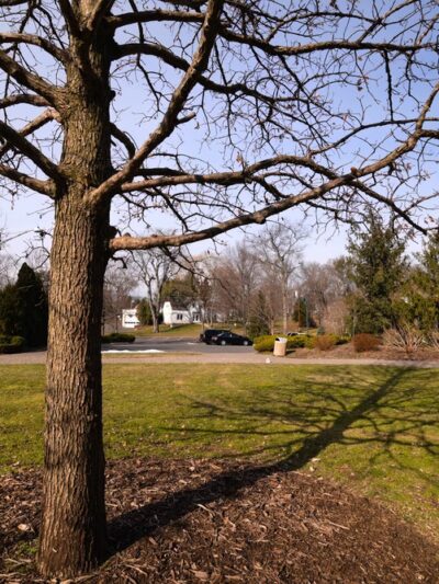 Carriage House Park - Fanwood, NJ