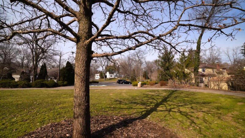 Carriage House Park - Fanwood, NJ