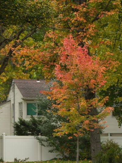 Carriage House Park - Fanwood, NJ