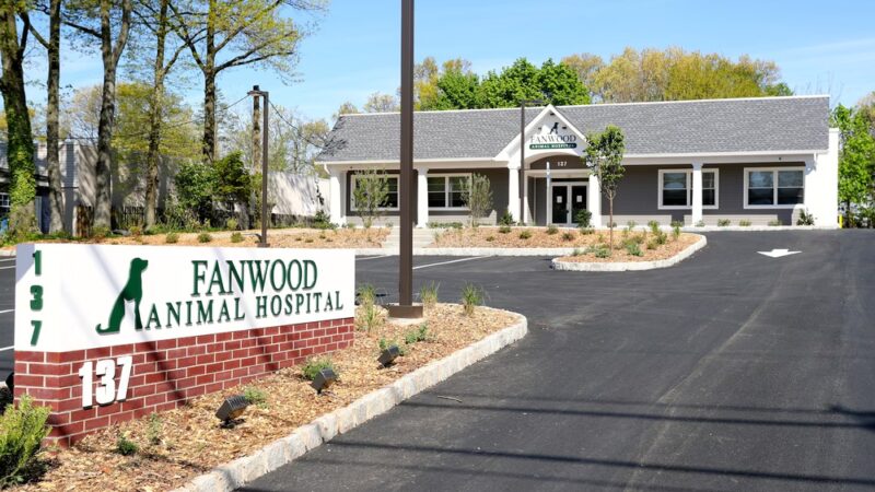 Fanwood Animal Hospital - Fanwood, NJ