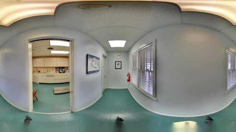 Fanwood Animal Hospital - Fanwood, NJ