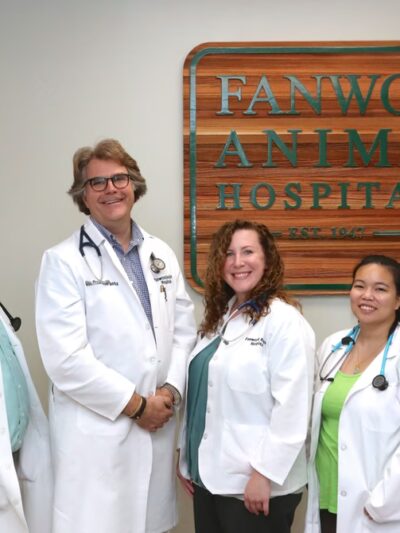 Fanwood Animal Hospital - Fanwood, NJ