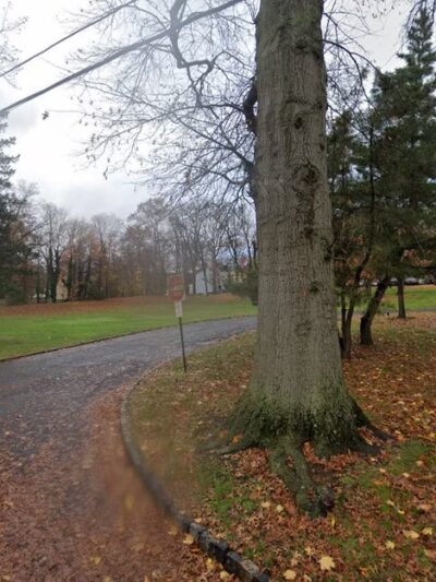 Watson Road Field - Fanwood, NJ