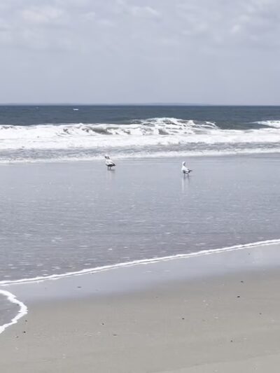 Beach 32nd Street Boardwalk Access - Far Rockaway, NY