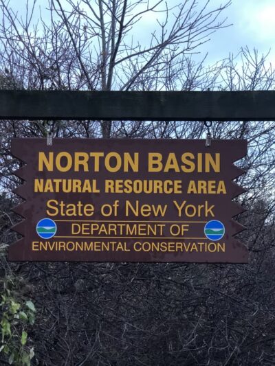 Norton Basin Natural Resource Area - Far Rockaway, NY