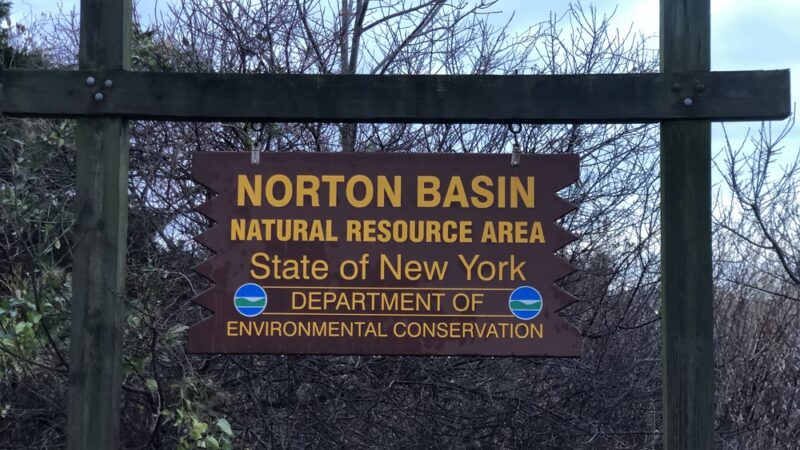 Norton Basin Natural Resource Area - Far Rockaway, NY
