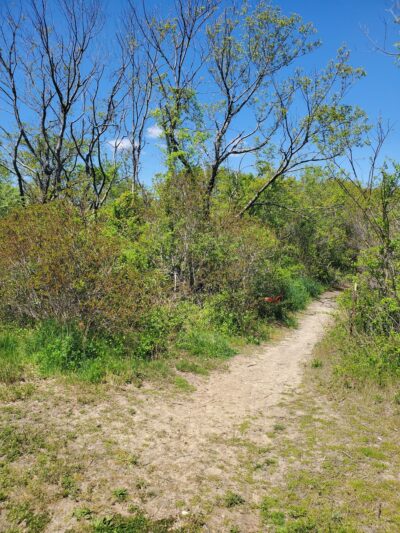 Norton Basin Natural Resource Area - Far Rockaway, NY