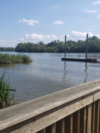 Norton Basin Natural Resource Area - Far Rockaway, NY