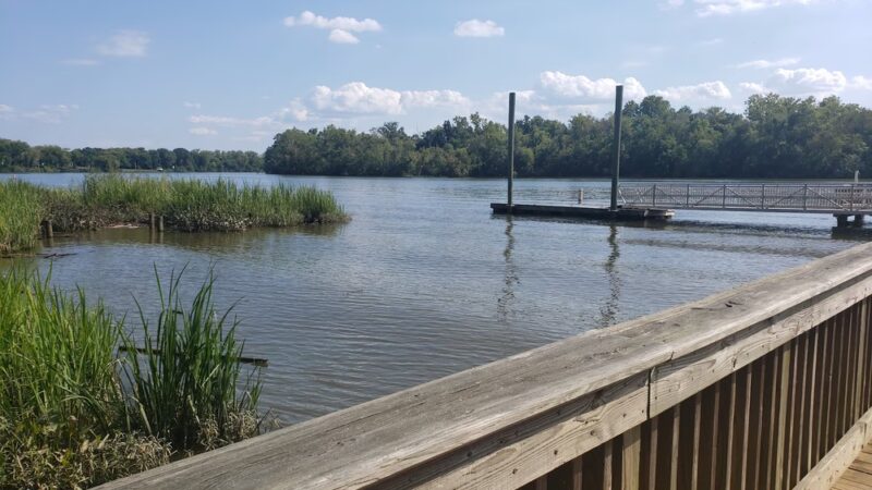 Norton Basin Natural Resource Area - Far Rockaway, NY