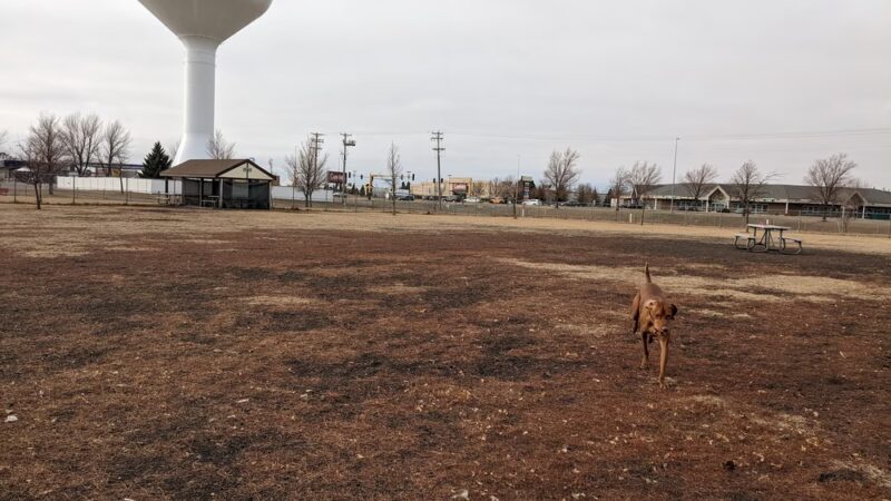 West Village Dog Park - Fargo, ND