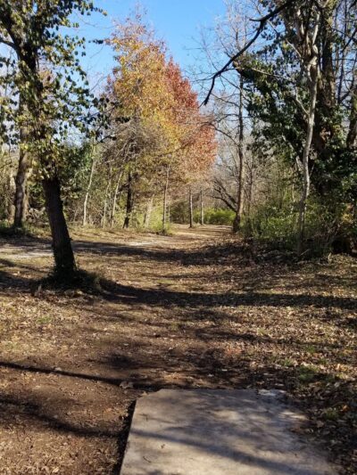 Farmington Disc Golf Course - Farmington, AR