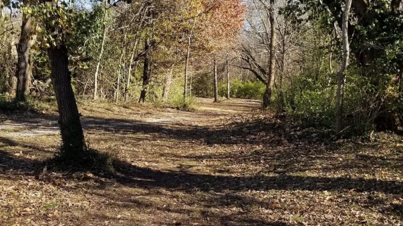 Farmington Disc Golf Course - Farmington, AR