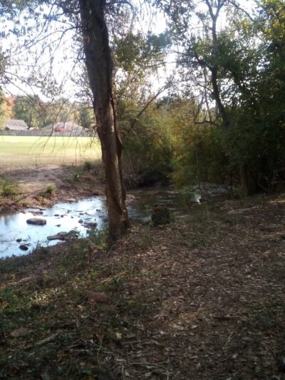 Farmington Disc Golf Course - Farmington, AR