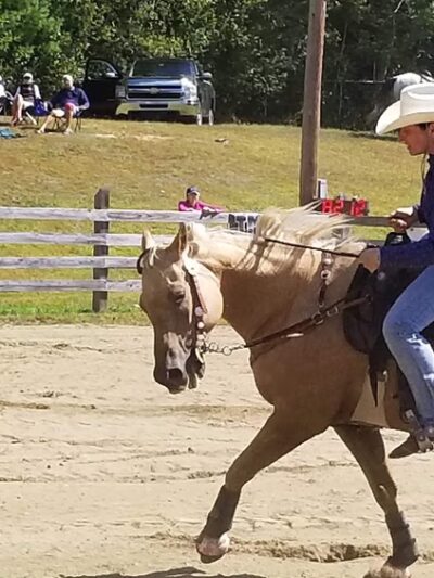 Farmington Fair - Farmington, ME