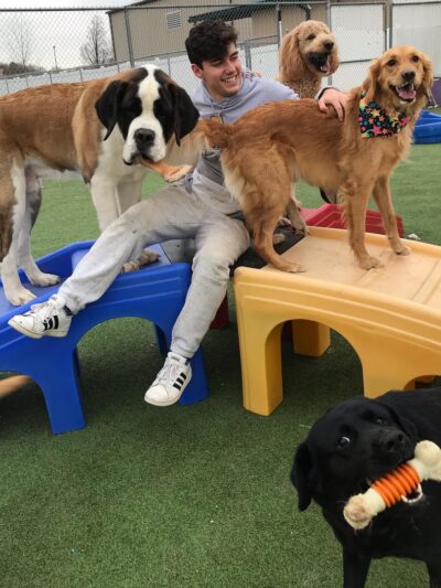 Finger Lakes Pet Resort - Farmington, NY