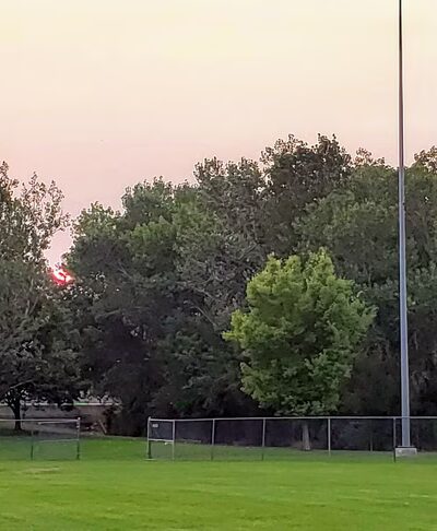 Shepard Park - Farmington, UT