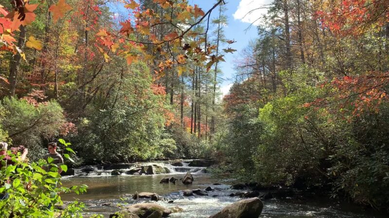 Turtletown Creek Falls Trailhead - Farner, TN