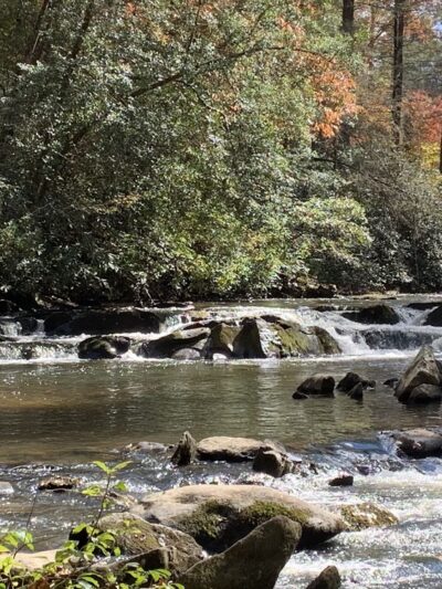 Turtletown Creek Falls Trailhead - Farner, TN