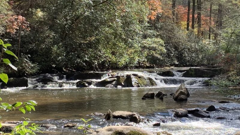 Turtletown Creek Falls Trailhead - Farner, TN