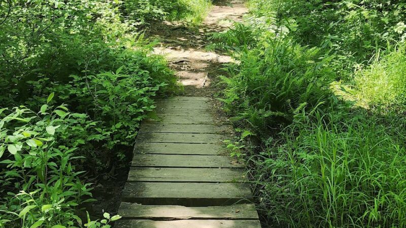 Turtletown Creek Falls Trailhead - Farner, TN