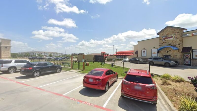 Stags Plaza dog park - Fate, TX