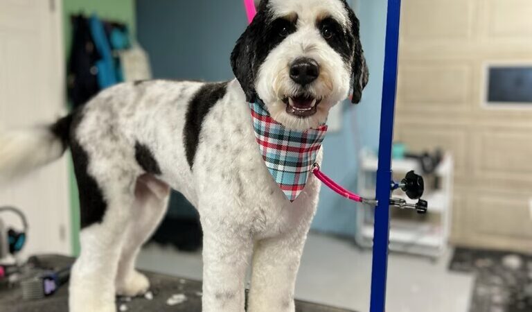 Bark & Beyond - Fawn Grove, PA