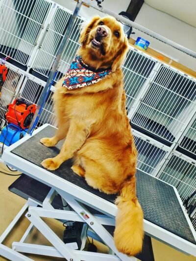 Bark & Beyond - Fawn Grove, PA