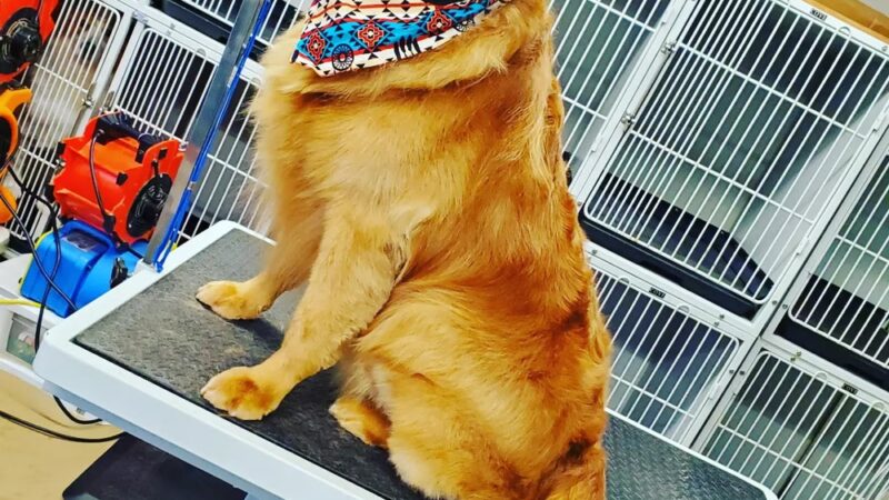 Bark & Beyond - Fawn Grove, PA