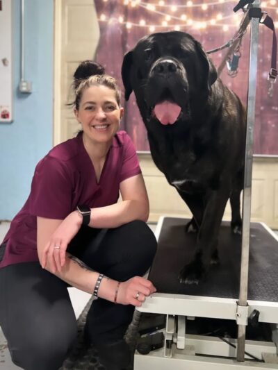 Bark & Beyond - Fawn Grove, PA