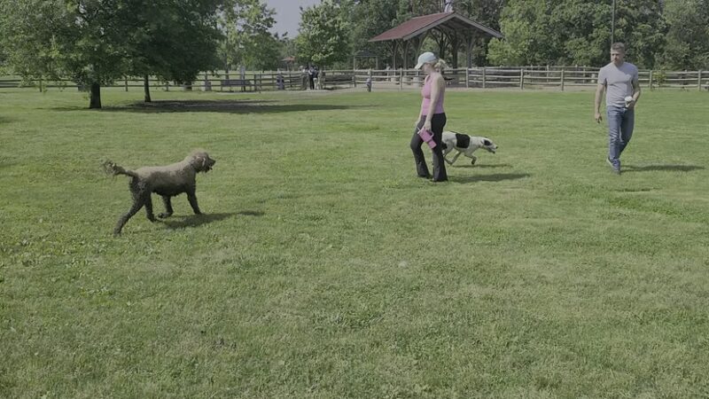 Bryce Davis Park - Fayetteville, AR