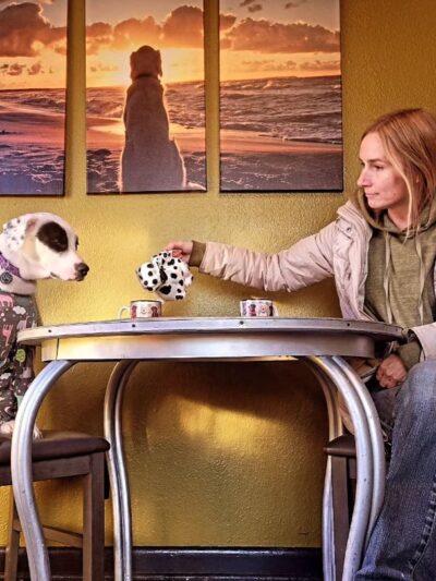 Good Dog Cafe - Fayetteville, AR