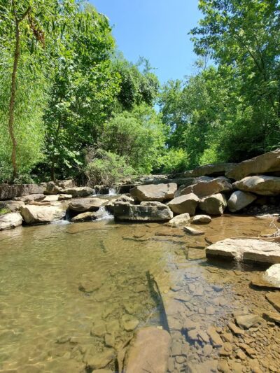 Sweetbriar Park - Fayetteville, AR