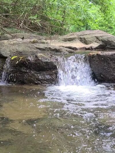 Sweetbriar Park - Fayetteville, AR
