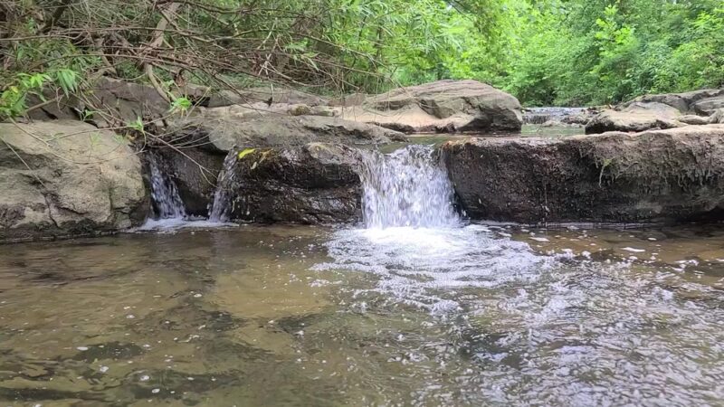 Sweetbriar Park - Fayetteville, AR