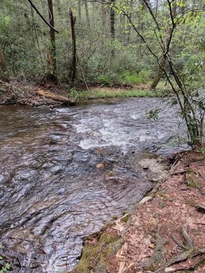 Caledonia State Park - Fayetteville, PA