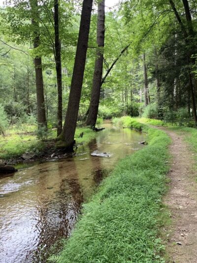 Caledonia State Park - Fayetteville, PA