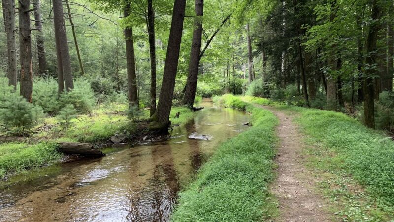 Caledonia State Park - Fayetteville, PA