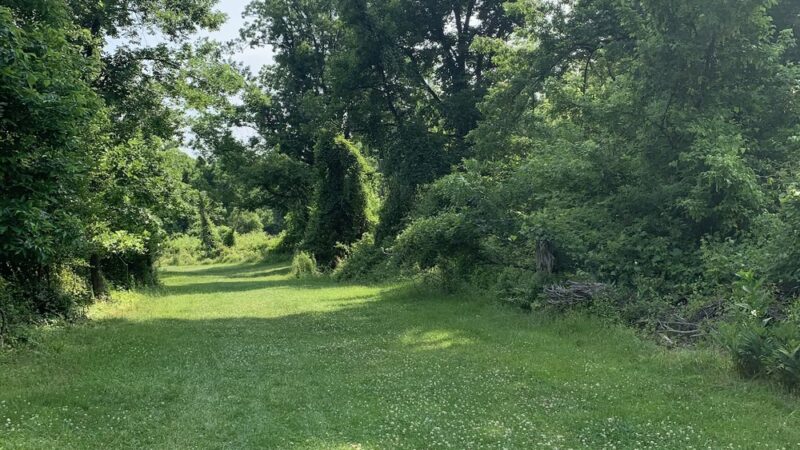 Playwicki Farm - Feasterville-Trevose, PA