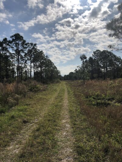 St Sebastian River Preserve Red Trail - Fellsmere, FL
