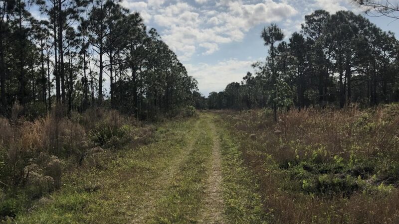 St Sebastian River Preserve Red Trail - Fellsmere, FL