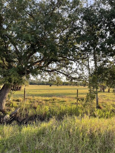 St Sebastian River Preserve Red Trail - Fellsmere, FL