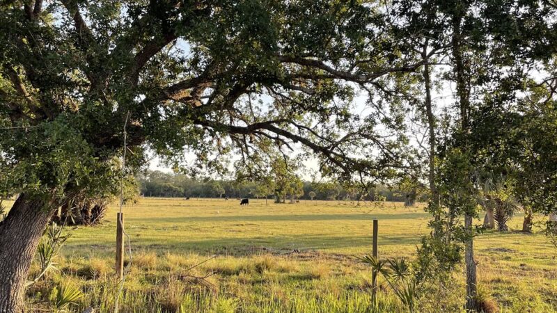St Sebastian River Preserve Red Trail - Fellsmere, FL