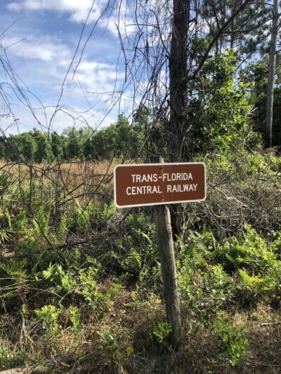 St Sebastian River Preserve Red Trail - Fellsmere, FL