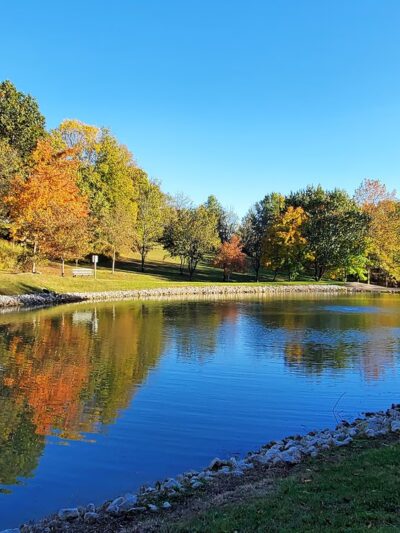 Bud Weil Memorial Park - Fenton, MO