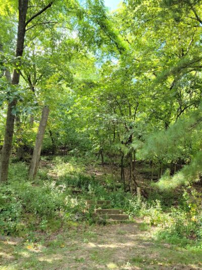 Bud Weil Memorial Park - Fenton, MO