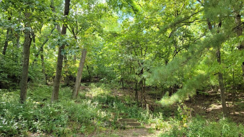 Bud Weil Memorial Park - Fenton, MO