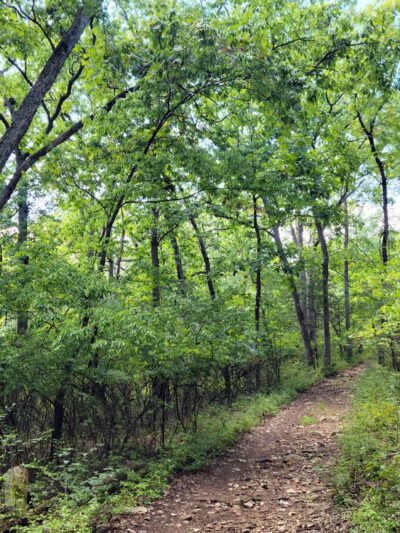 Fabick Nature Preserve - Fenton, MO