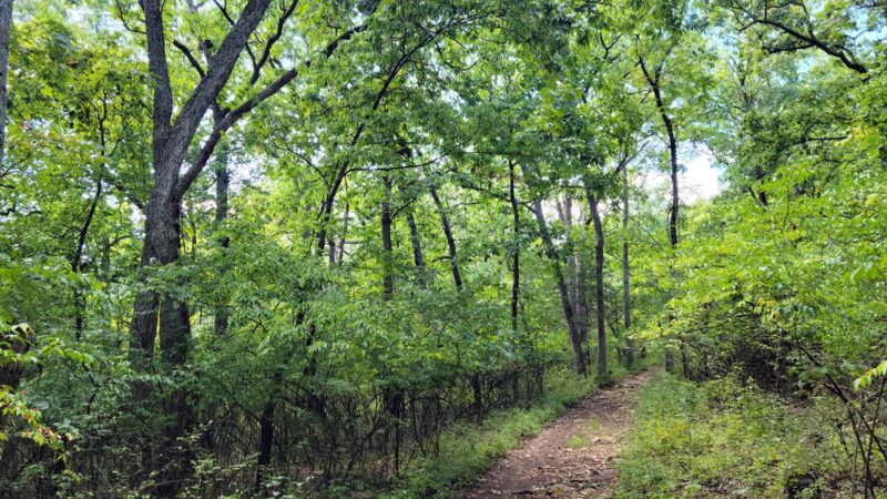 Fabick Nature Preserve - Fenton, MO