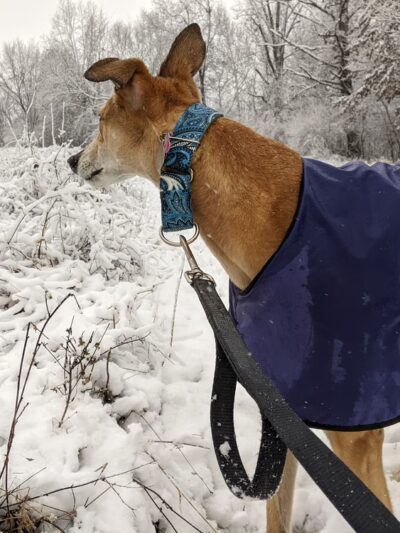 Fabick Nature Preserve - Fenton, MO